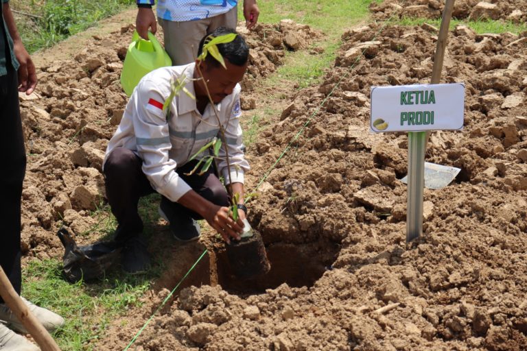 WhatsApp Image 2025-09-30 at 10.53.52 (3)