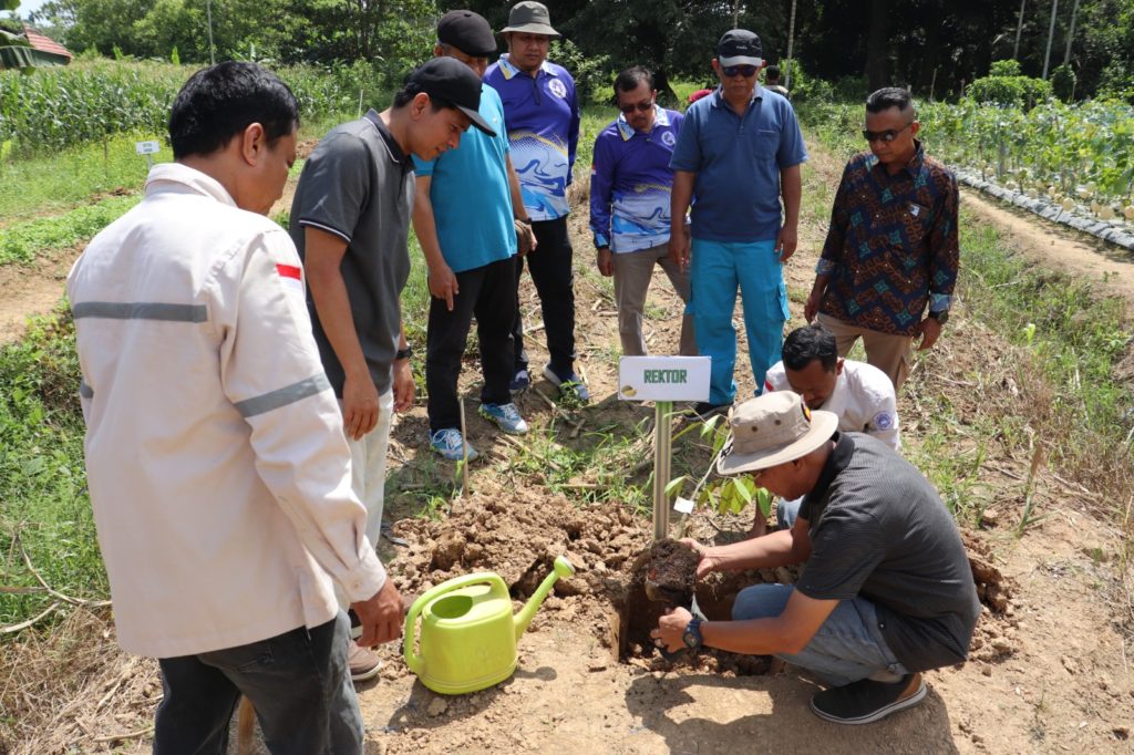 WhatsApp Image 2025-09-30 at 10.53.52 (7)