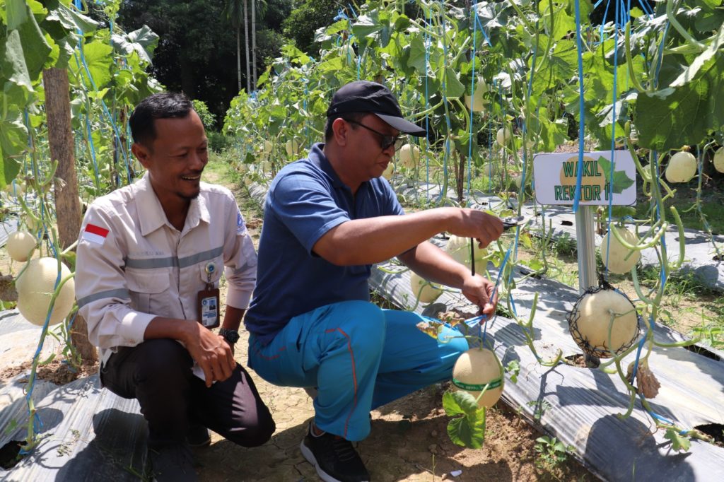 WhatsApp Image 2025-09-30 at 10.53.52 (9)