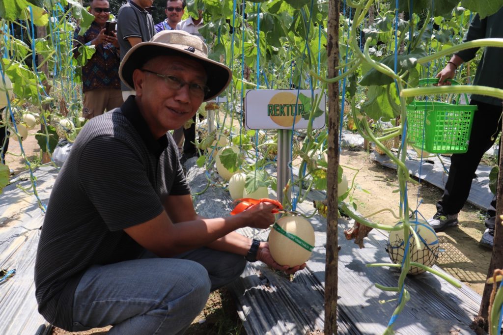 WhatsApp Image 2025-09-30 at 10.53.53 (1)