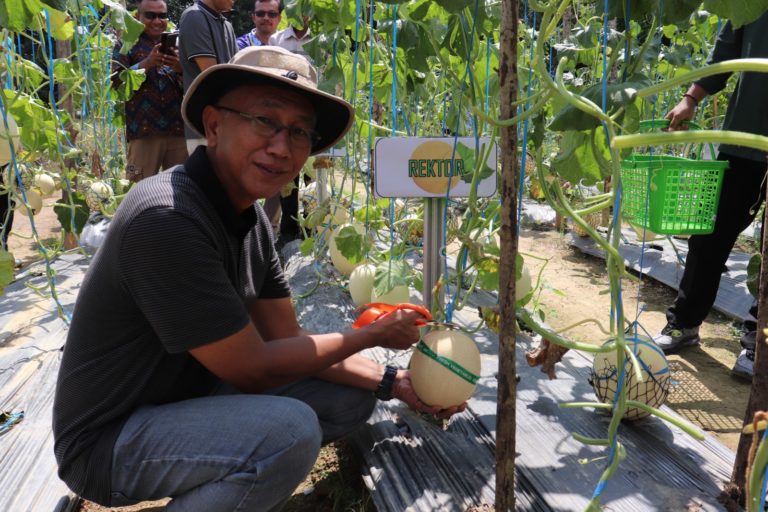 WhatsApp Image 2025-09-30 at 10.53.53 (1)