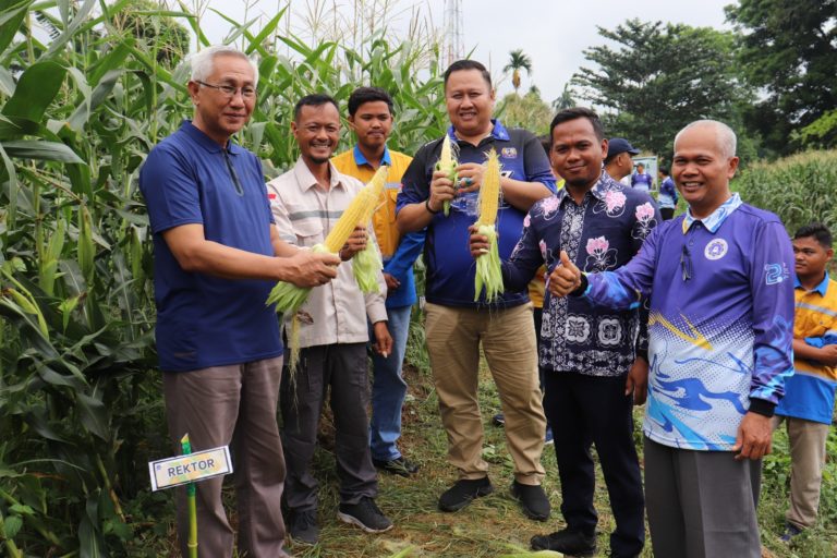 WhatsApp Image 2025-09-30 at 14.54.33 (1)