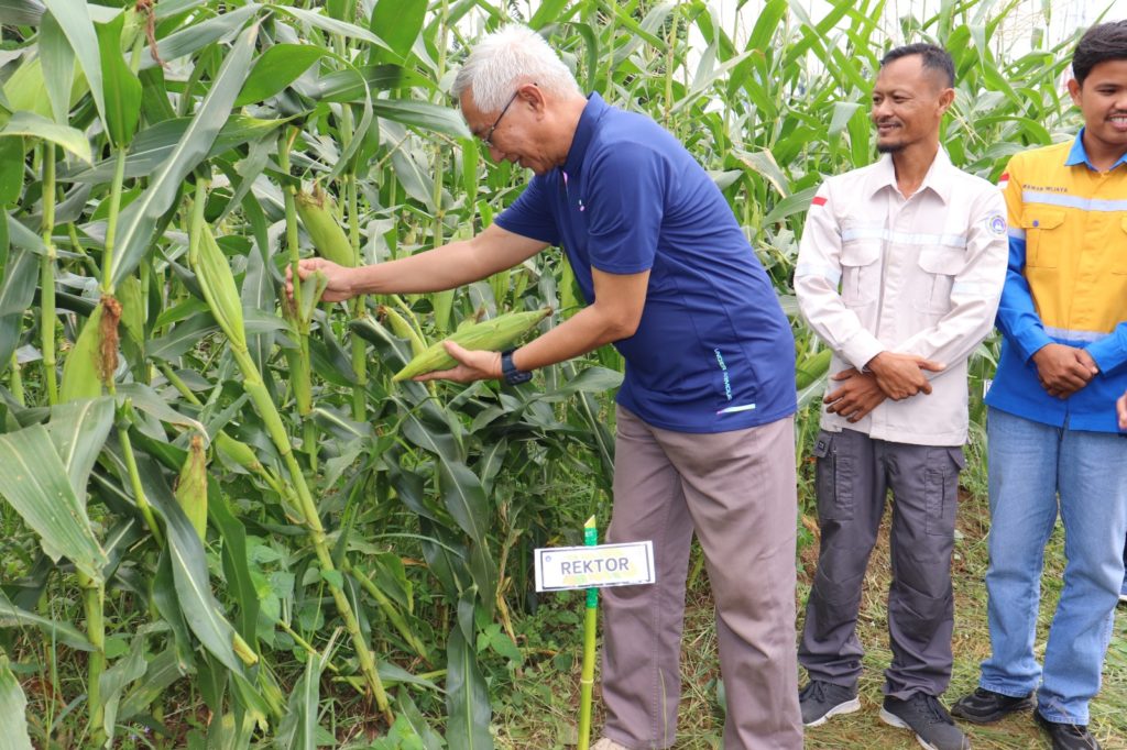 WhatsApp Image 2025-09-30 at 14.54.33