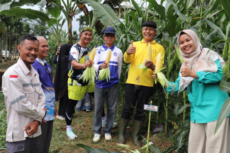 WhatsApp Image 2025-09-30 at 14.54.33 (2)