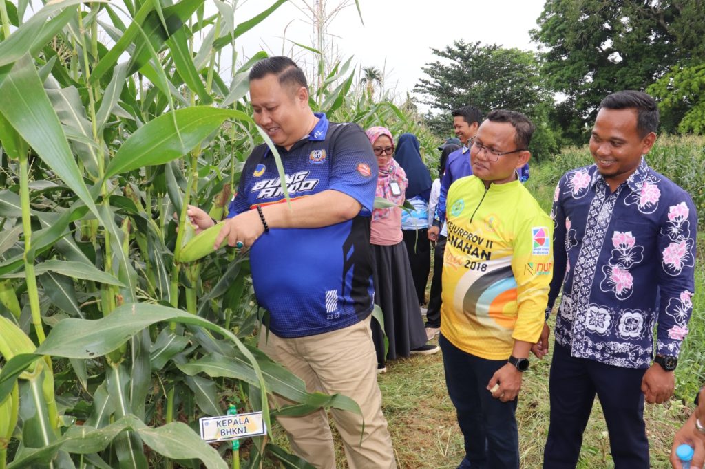 WhatsApp Image 2025-09-30 at 14.54.33 (3)