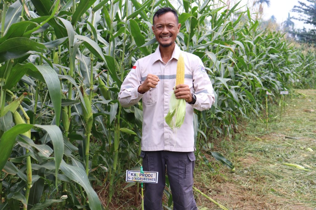 KHAIRUDIN, S.P.,M.MA.